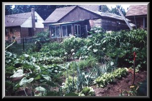 garden2