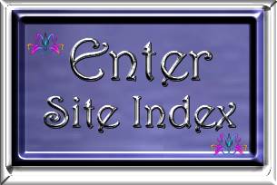 enter site