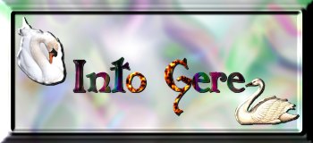 Into Gere
