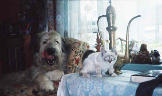 izzy&kato